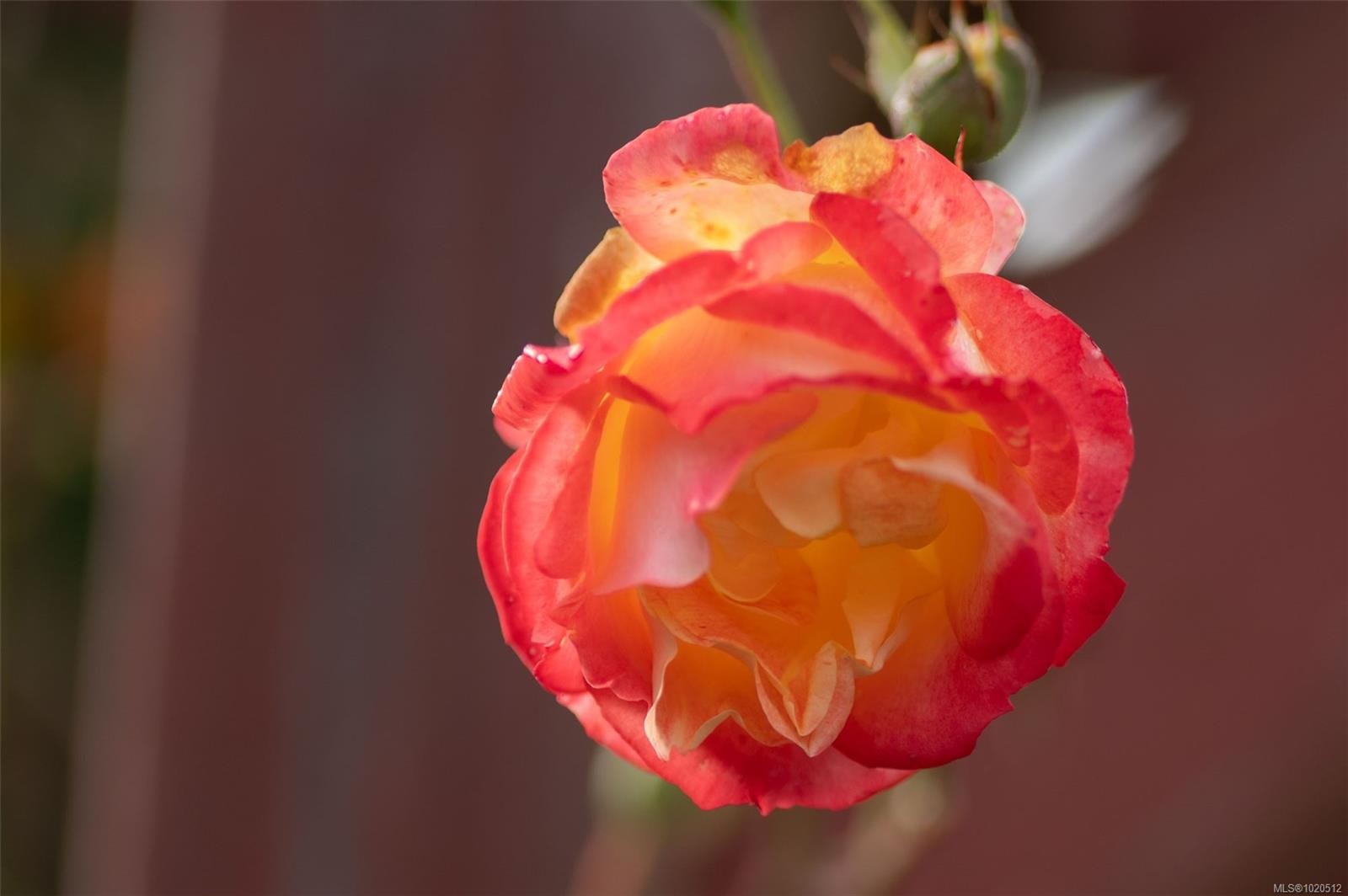 2074-135 Brinkworthy Rd, Salt Spring, BC