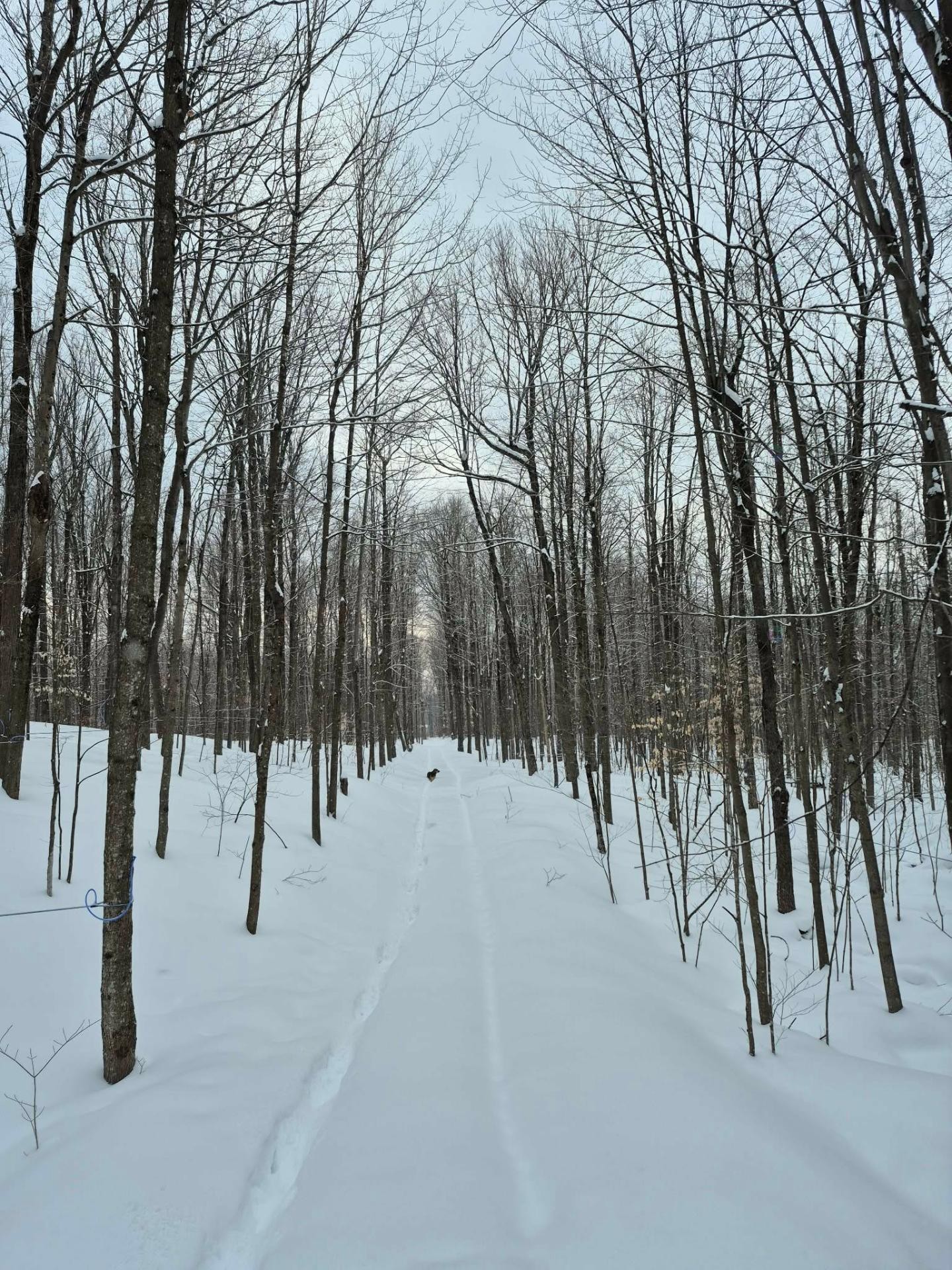 Autre - 7100Z 7E Rang, Drummondville, QC