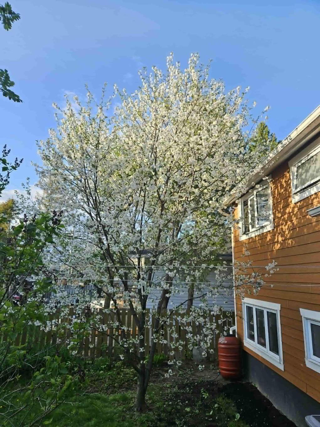 Back facade - 1003 Rue Chaumont, Chambly, QC - Outdoor