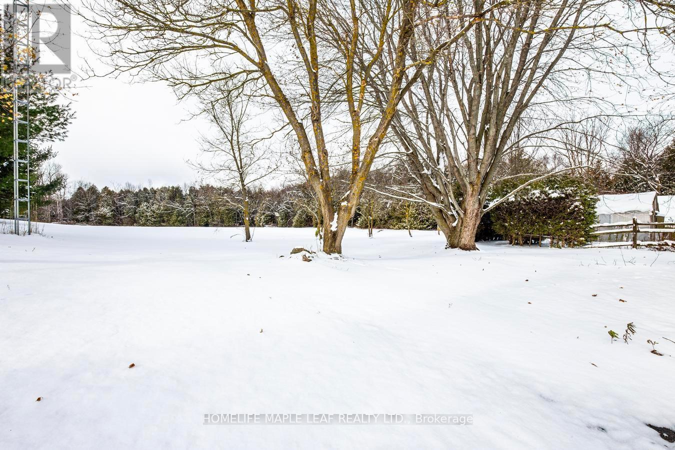 253048 9Th Line, Amaranth, ON - Outdoor With View