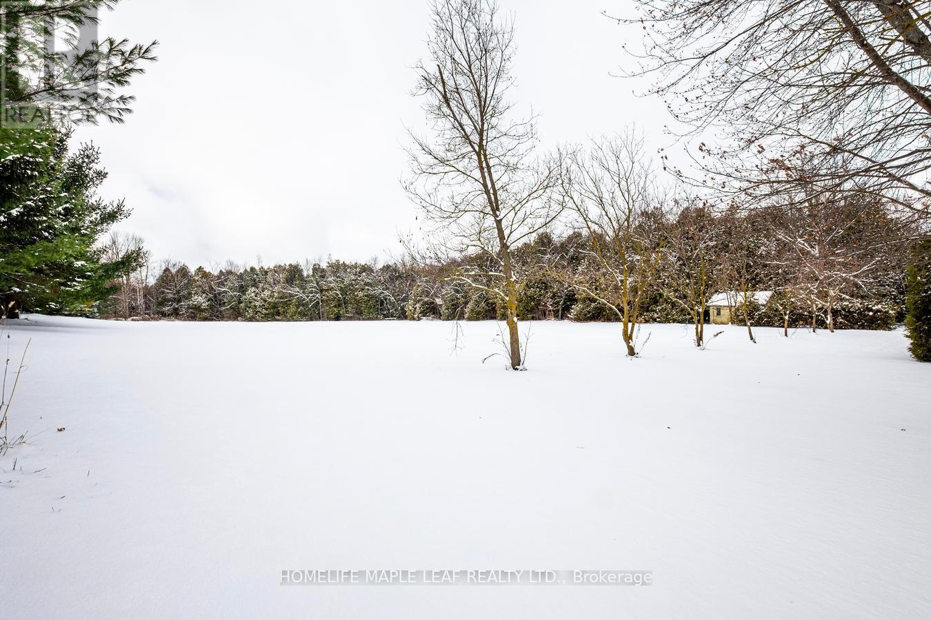 253048 9Th Line, Amaranth, ON - Outdoor With View