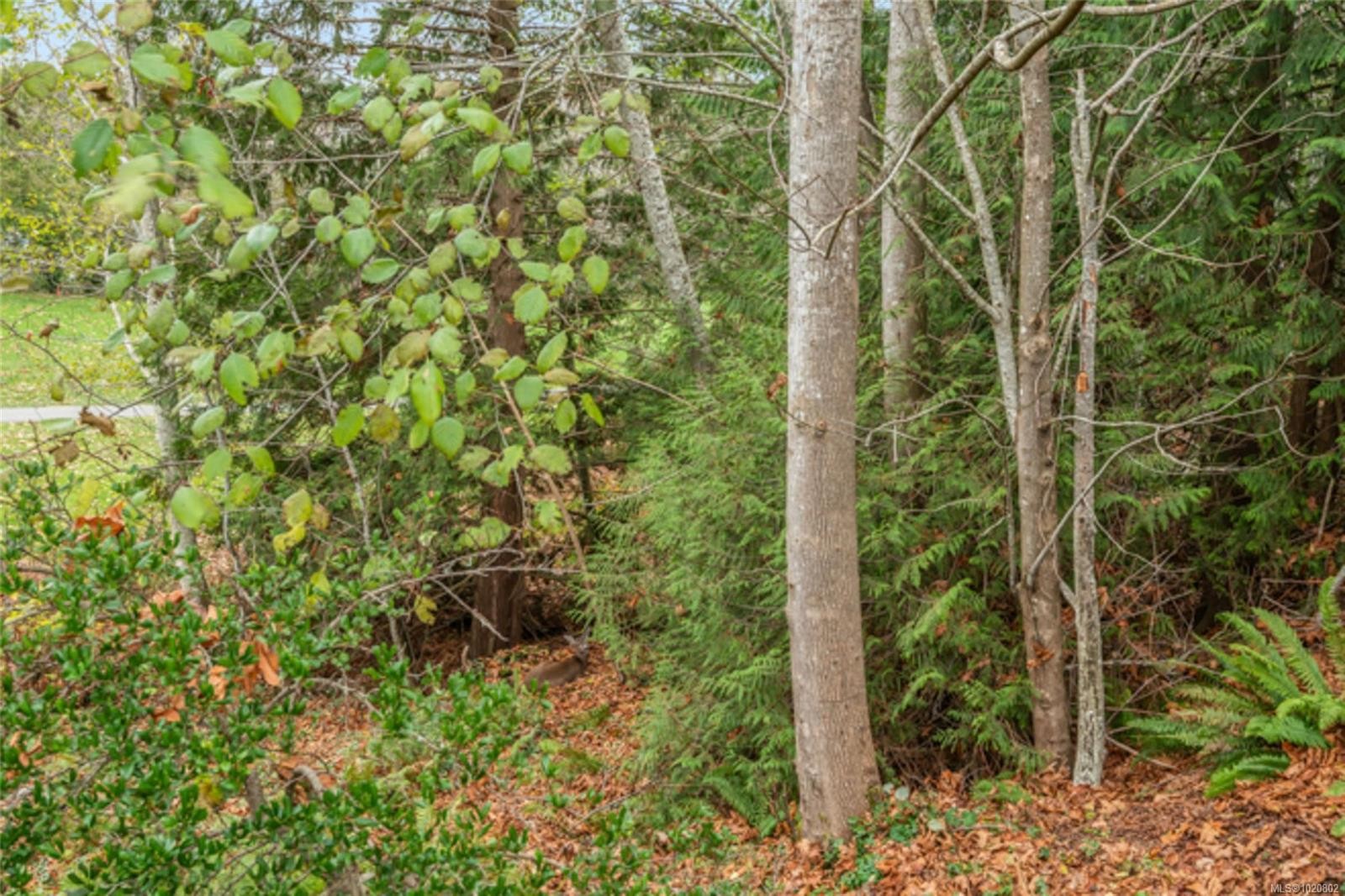 910 Lakes Blvd, French Creek, BC