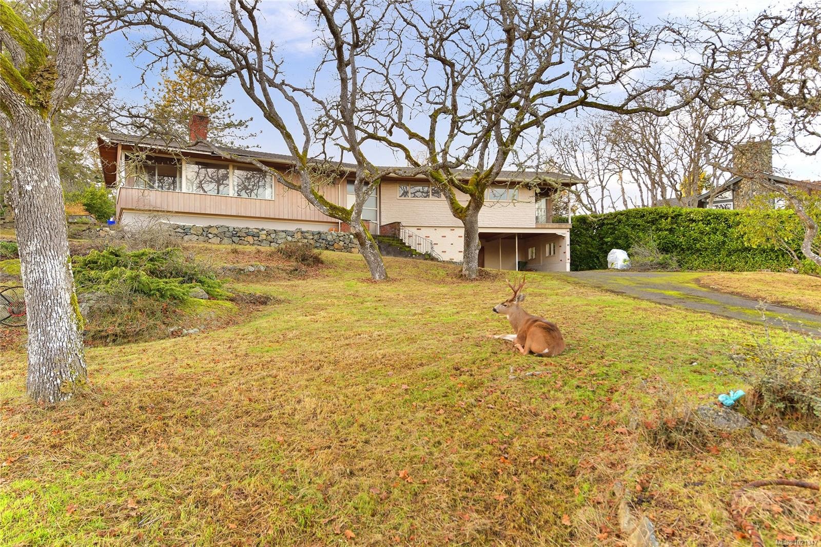 3240 Norfolk Rd, Oak Bay, BC