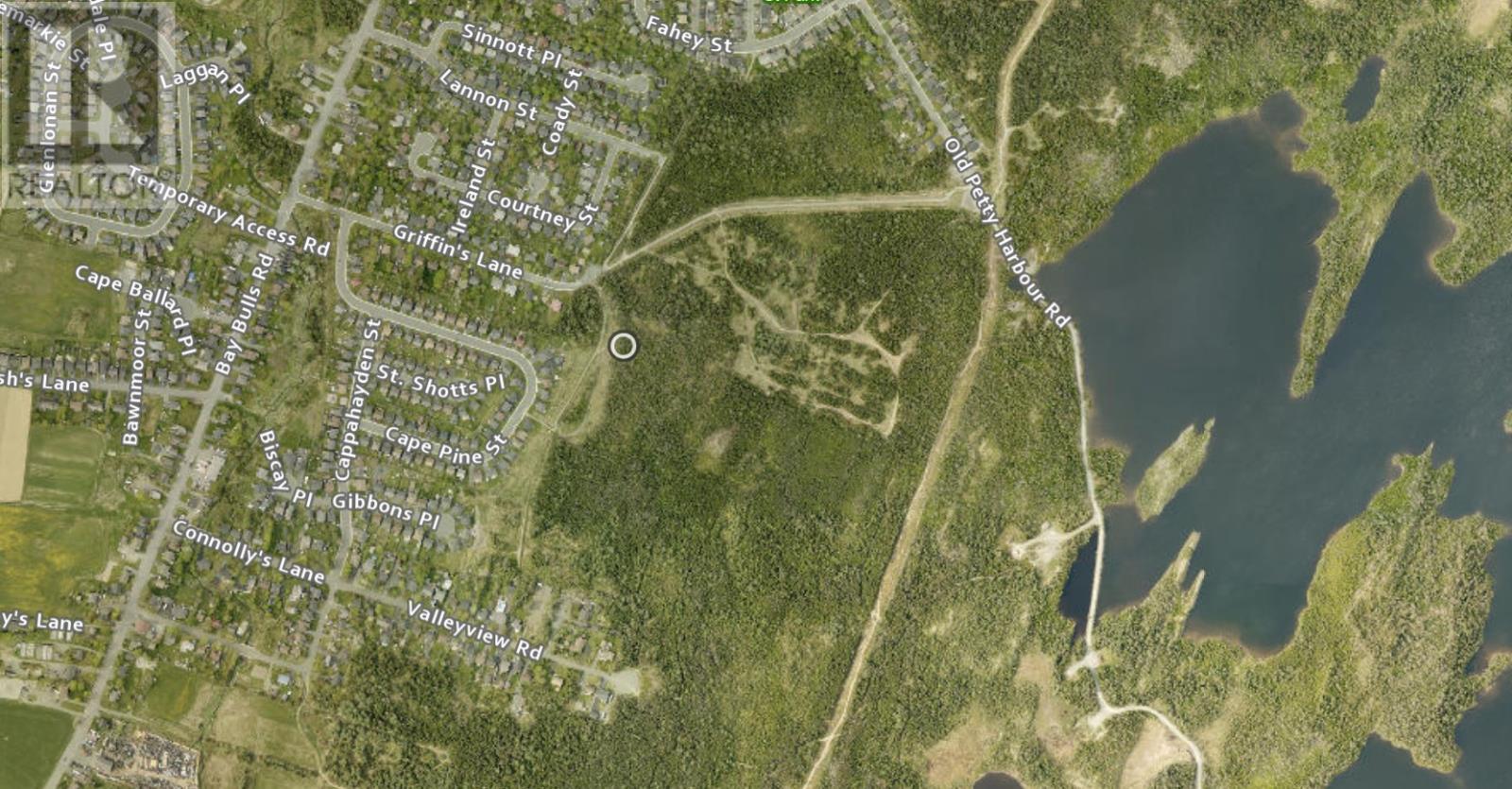 36 Griffins Lane, St. John'S, NL