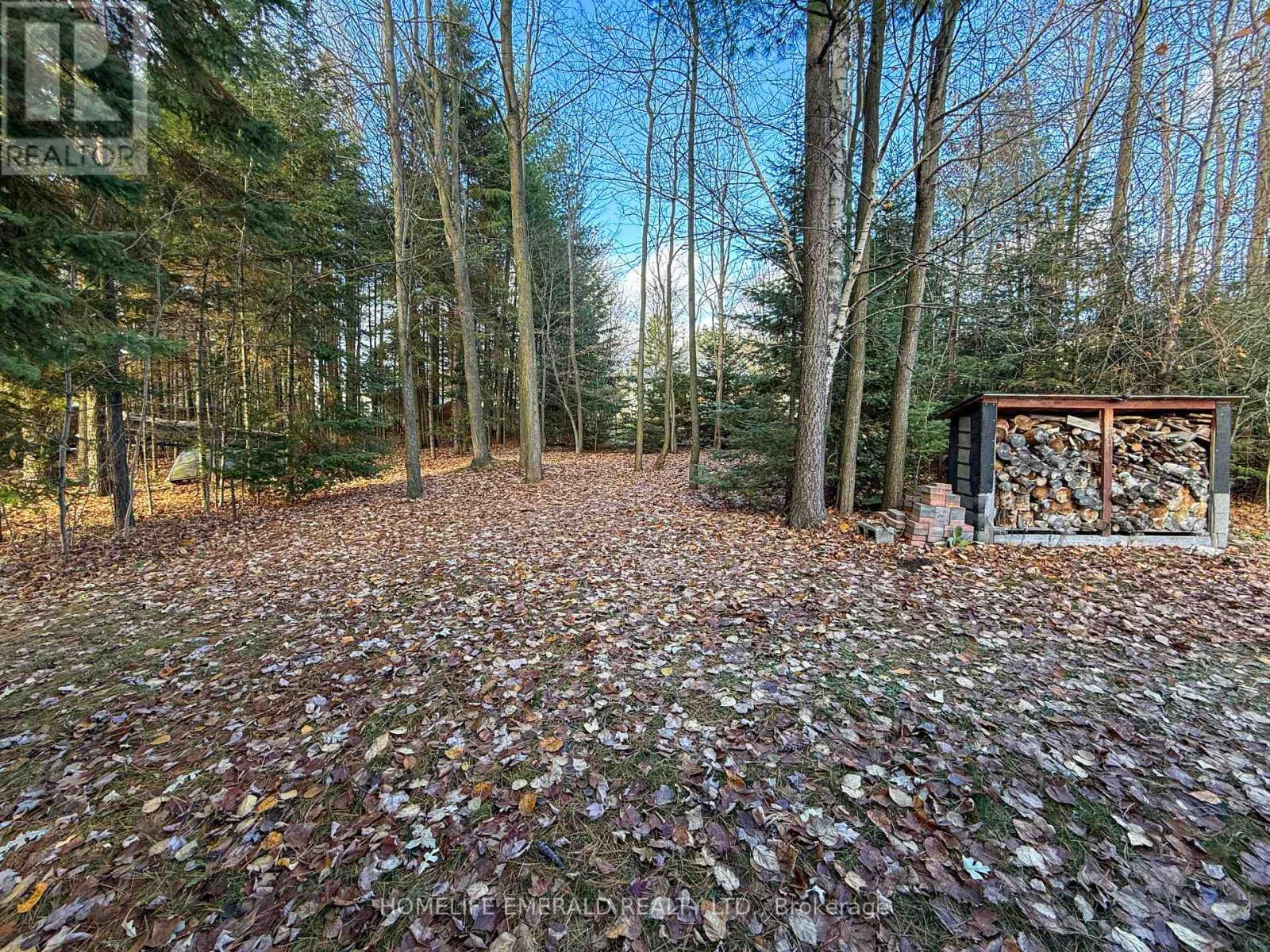 17 Tree Top Street, Essa, ON - Outdoor