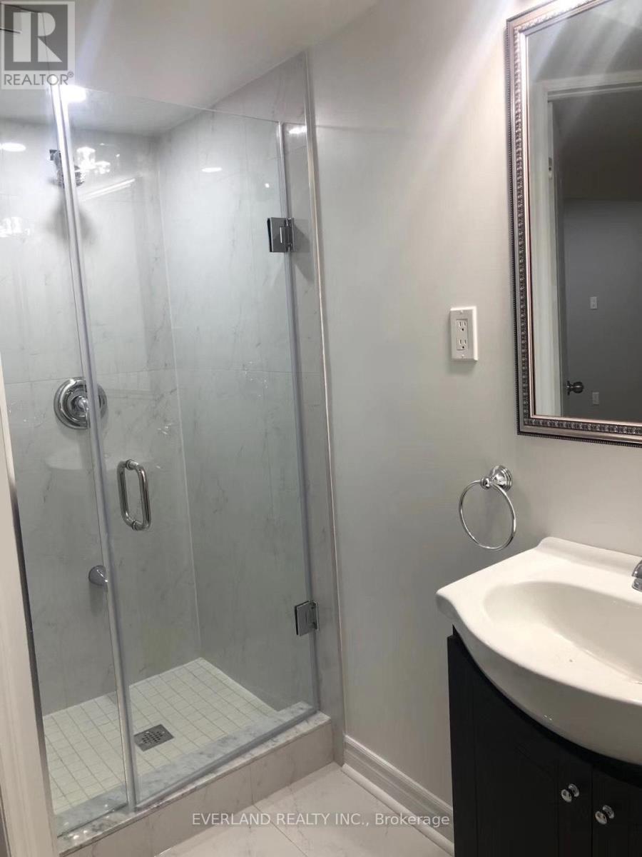 Basement - 4 Shell Court, Richmond Hill, ON - Indoor Photo Showing Bathroom