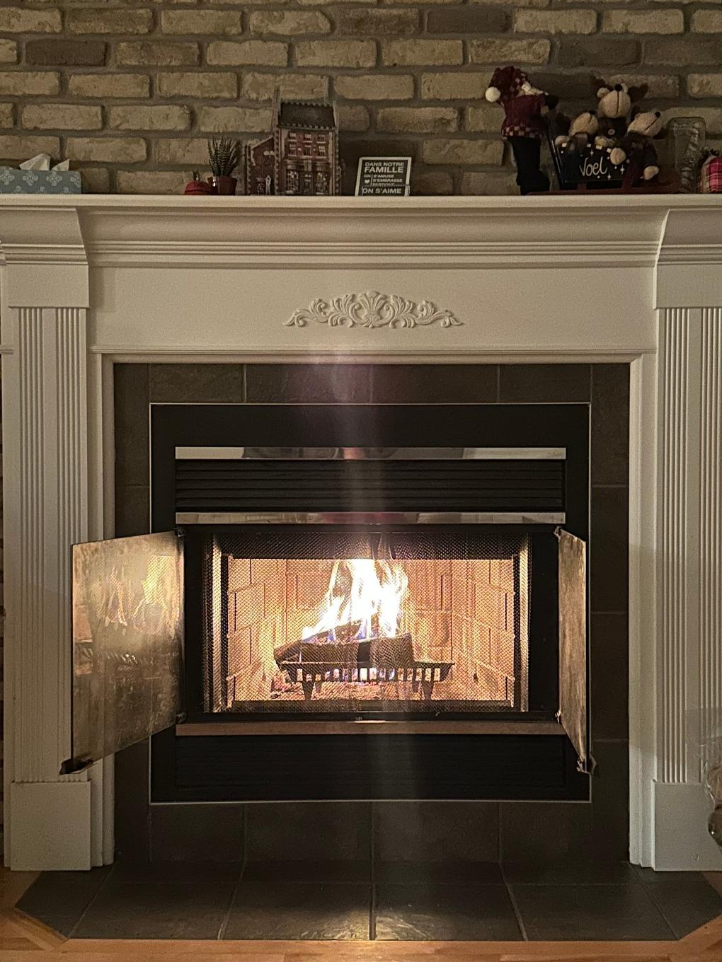 Living room - 57 Rue Des Florins, Blainville, QC - Indoor With Fireplace