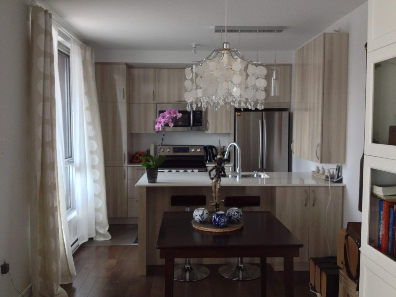 Cuisine - 311-4151 Rue De Salaberry, Montréal (Ahuntsic-Cartierville), QC - Indoor