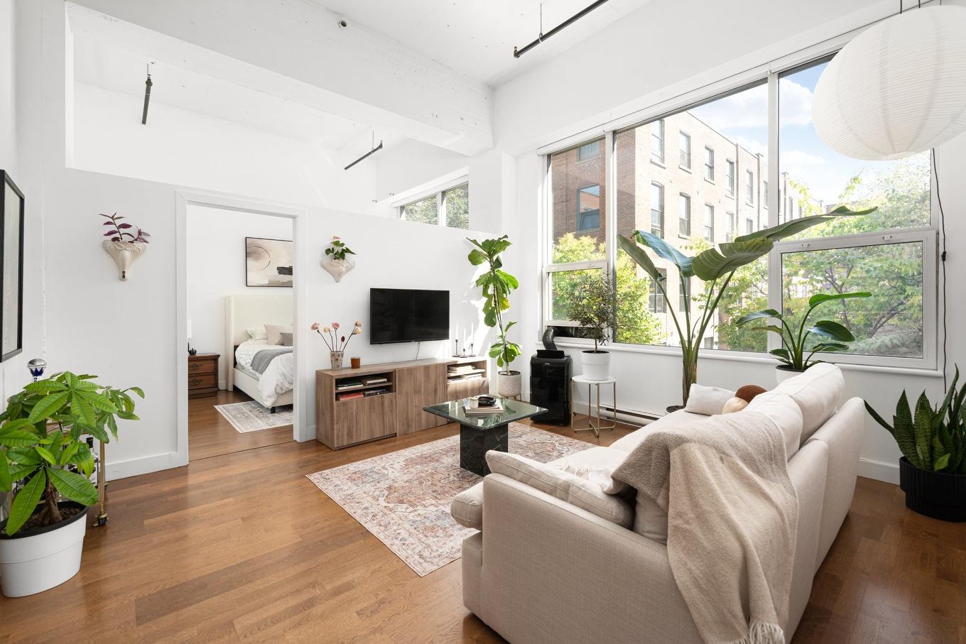 Salon - 158-4951 Rue Ontario E., Montréal (Mercier/Hochelaga-Maisonneuve), QC - Indoor Photo Showing Living Room
