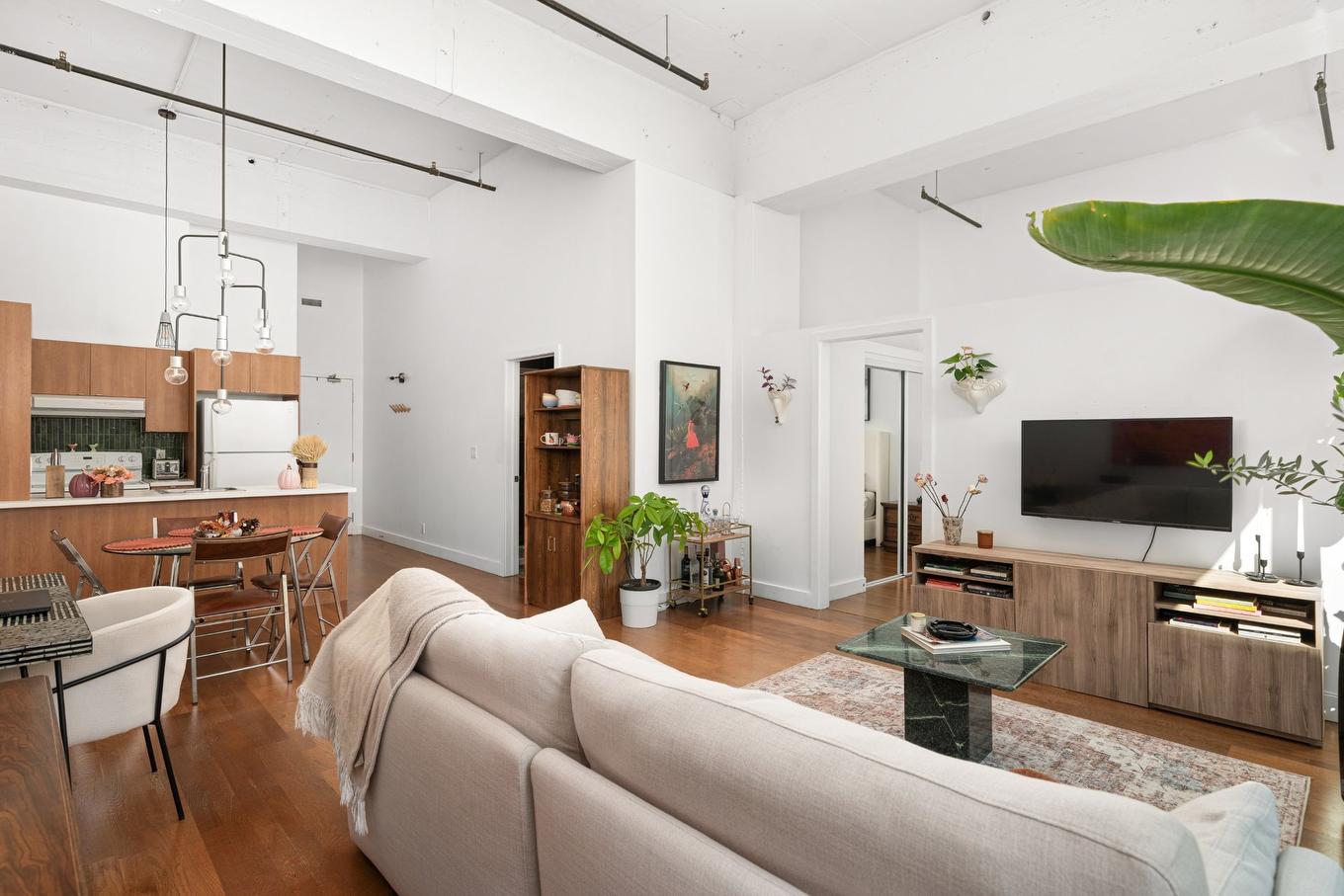 Salon - 158-4951 Rue Ontario E., Montréal (Mercier/Hochelaga-Maisonneuve), QC - Indoor Photo Showing Living Room