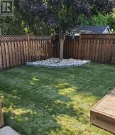 corner of yard in summer - lush! -