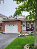 Front of house in summer -