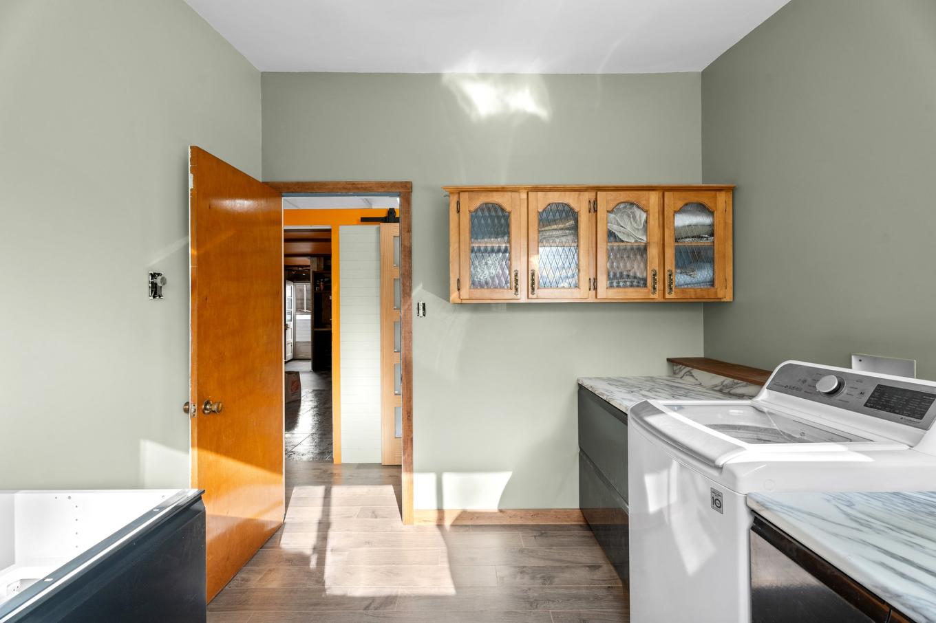 Laundry room - 23 Rue Du Sentier-Du-Sommet, Sainte-Marguerite-Du-Lac-Masson, QC - Indoor Photo Showing Laundry Room