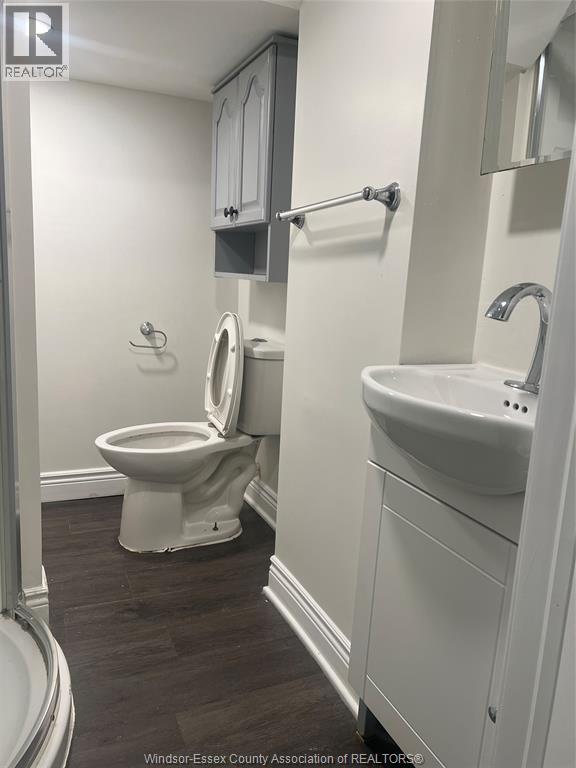 946 Arthur, Windsor, ON - Indoor Photo Showing Bathroom