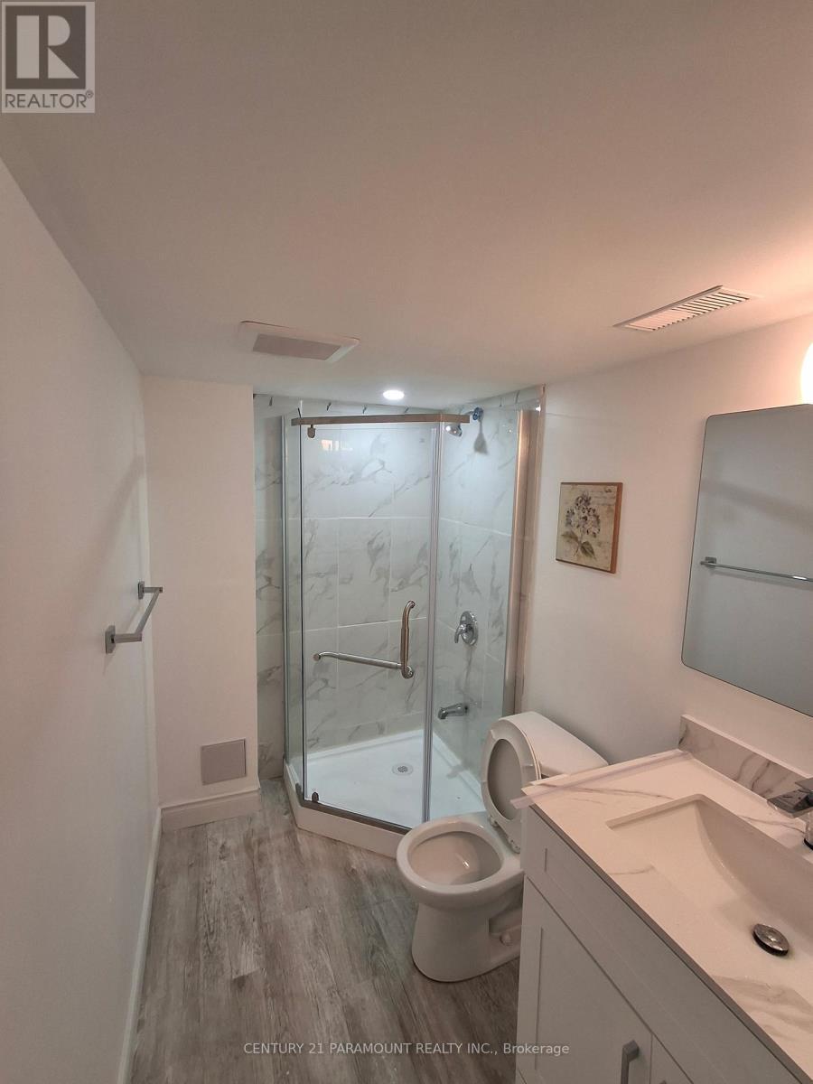 Bsmt - 59 Rudder Road, Welland, ON - Indoor Photo Showing Bathroom