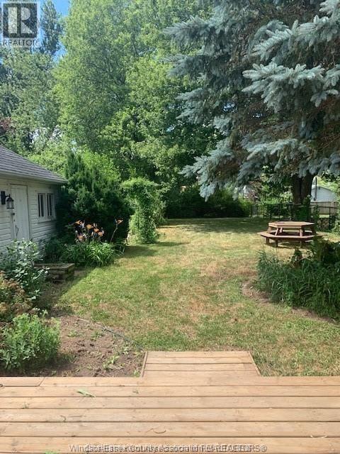 19 Lisgar, Ridgetown, ON - Outdoor