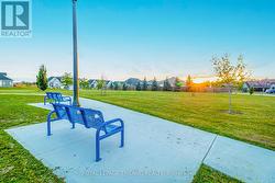 Your quiet park just across the road -