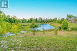 Community pond in this great subdivision -