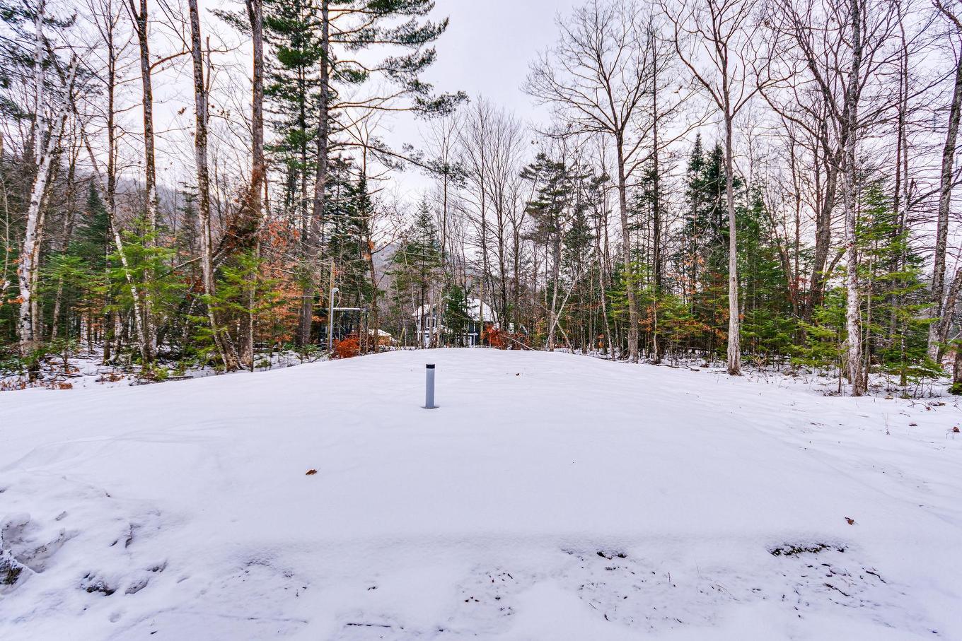 Backyard - 12 Ch. Sisttie, La Pêche, QC - Outdoor With View