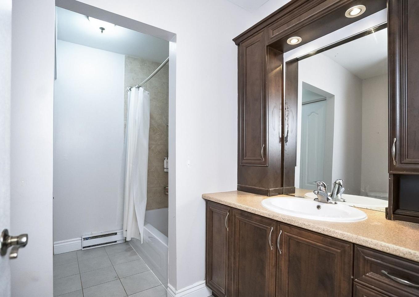 Bathroom - 2142 Rue Du Havre, Montréal (Ville-Marie), QC - Indoor Photo Showing Bathroom