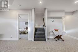 Fully finished lower level -