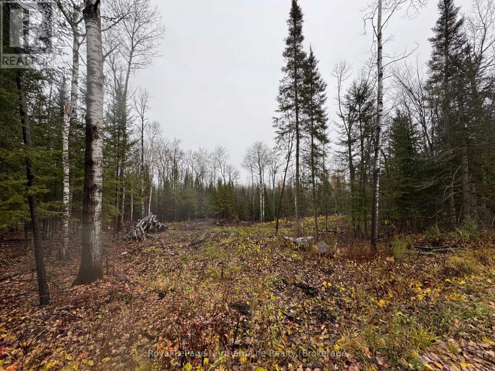 Pt E1/2 Hillcrest Road, East Ferris, ON