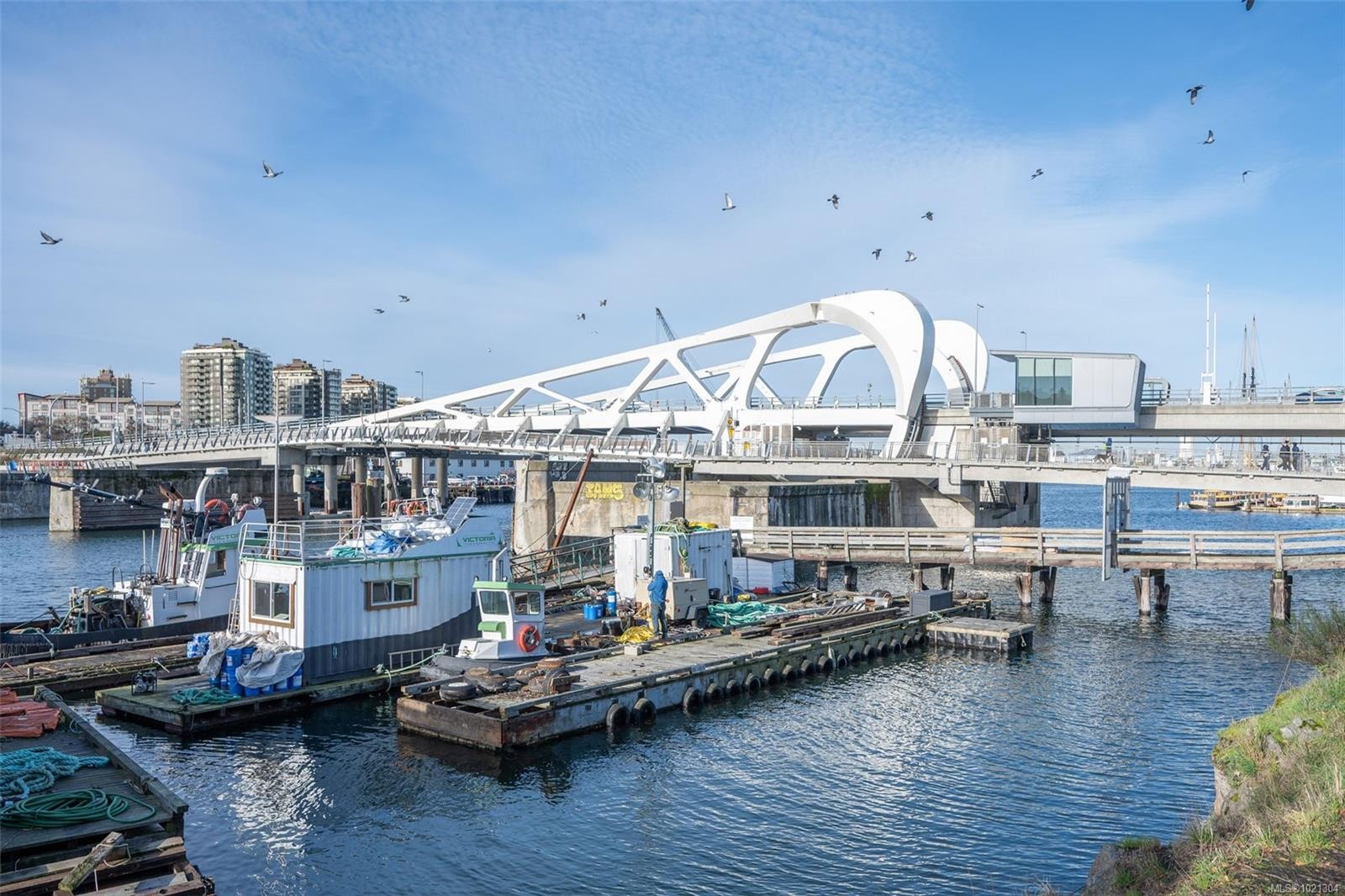 11-230 Wilson St, Victoria, BC