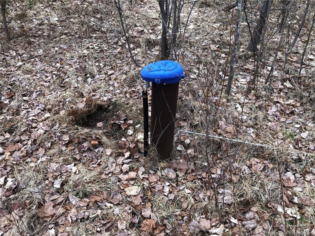 320 Pleasant Dr, Minto, NB