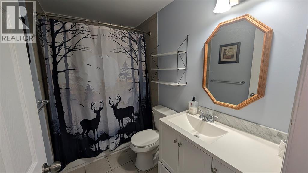 407 Murphy Road, Sarnia, ON - Indoor Photo Showing Bathroom