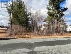 34 Mississagi CRES Iron Bridge, ON P0R 1H0