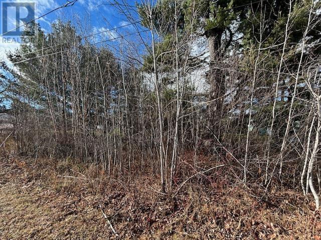 34 Mississagi Cres, Iron Bridge, ON