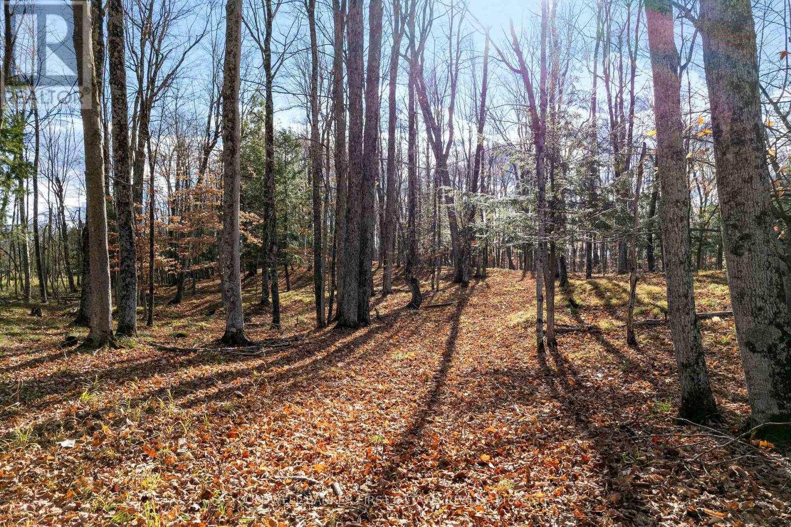 Pt 2-00 Herron Mills Road, Lanark Highlands, ON