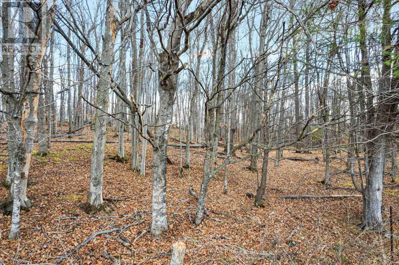 Pt 2-00 Herron Mills Road, Lanark Highlands, ON