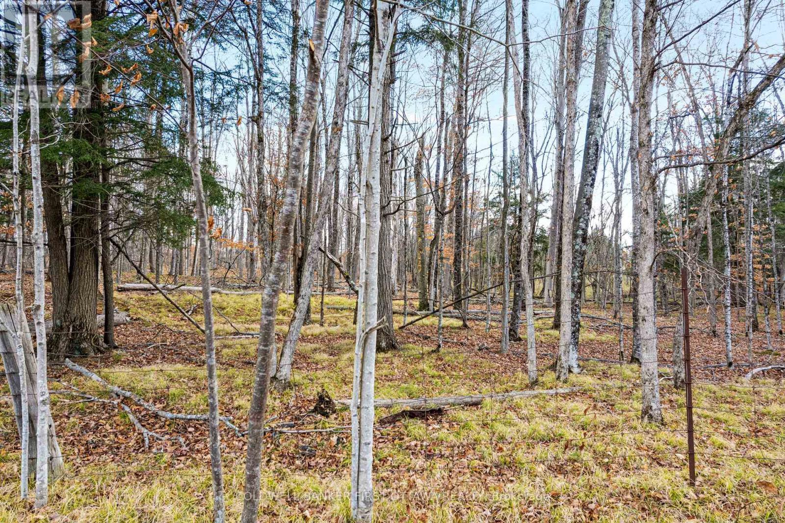 Pt 2-00 Herron Mills Road, Lanark Highlands, ON