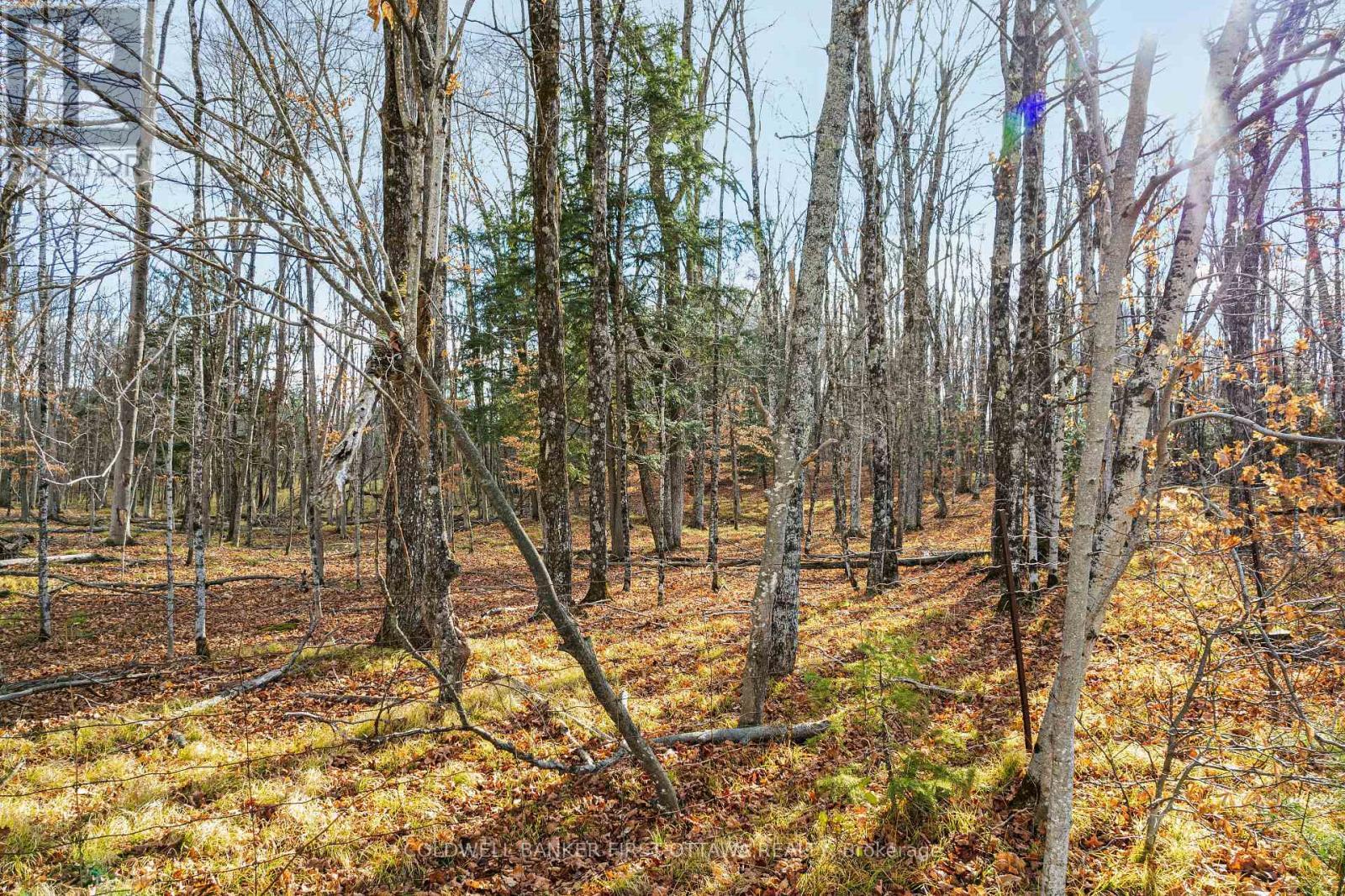 Pt 2-00 Herron Mills Road, Lanark Highlands, ON