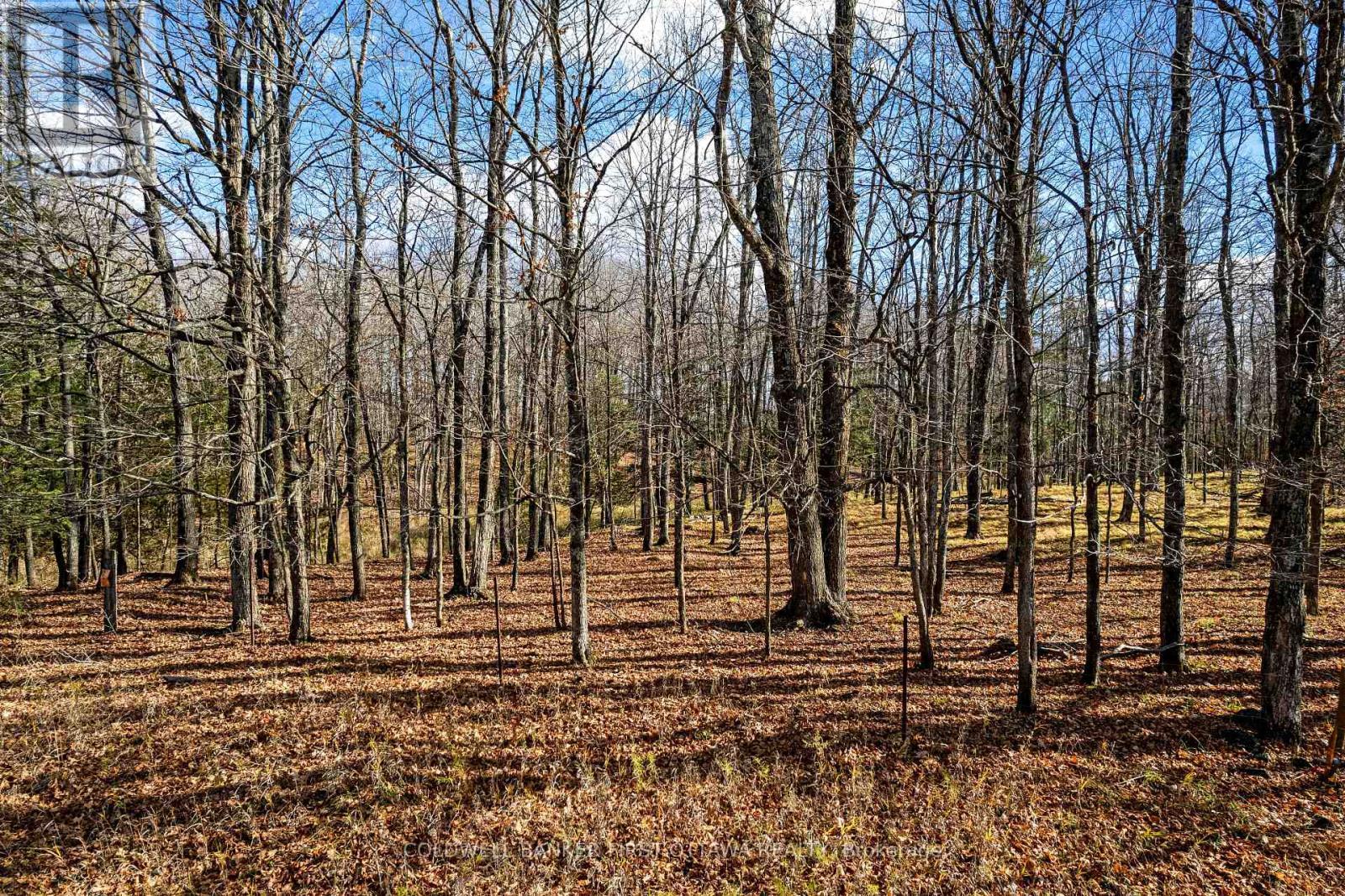 Pt 3-00 Herron Mills Road, Lanark Highlands, ON