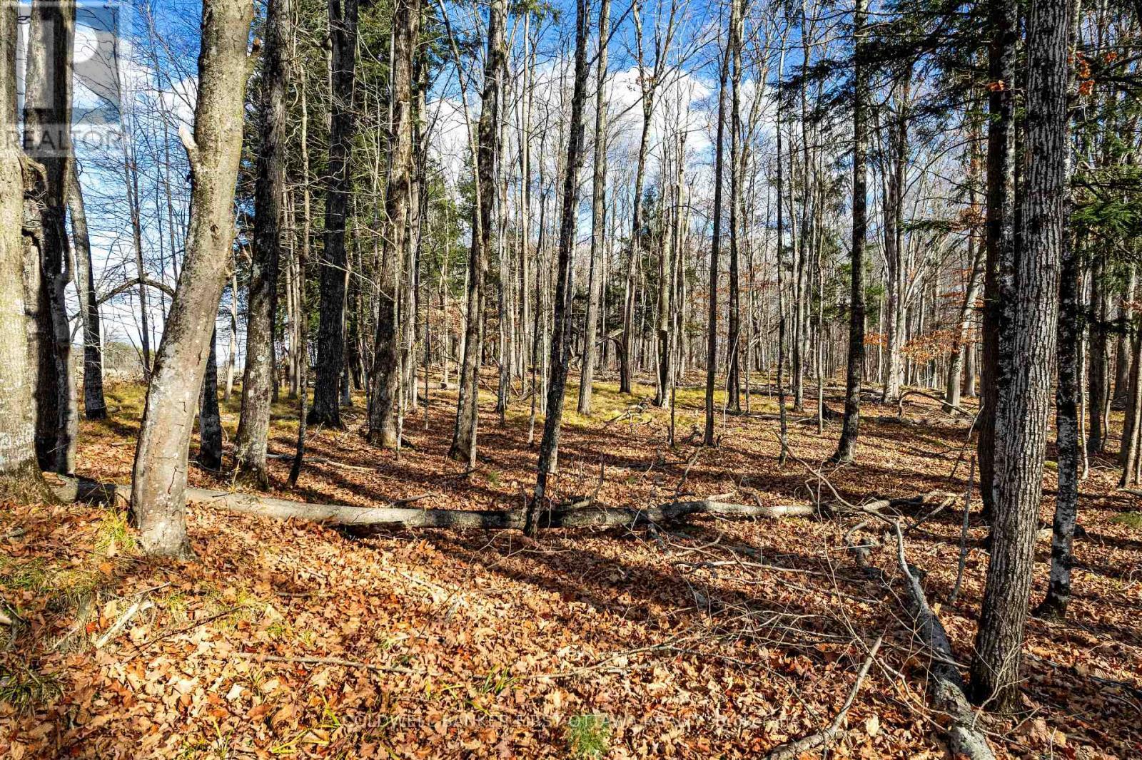 Pt 3-00 Herron Mills Road, Lanark Highlands, ON