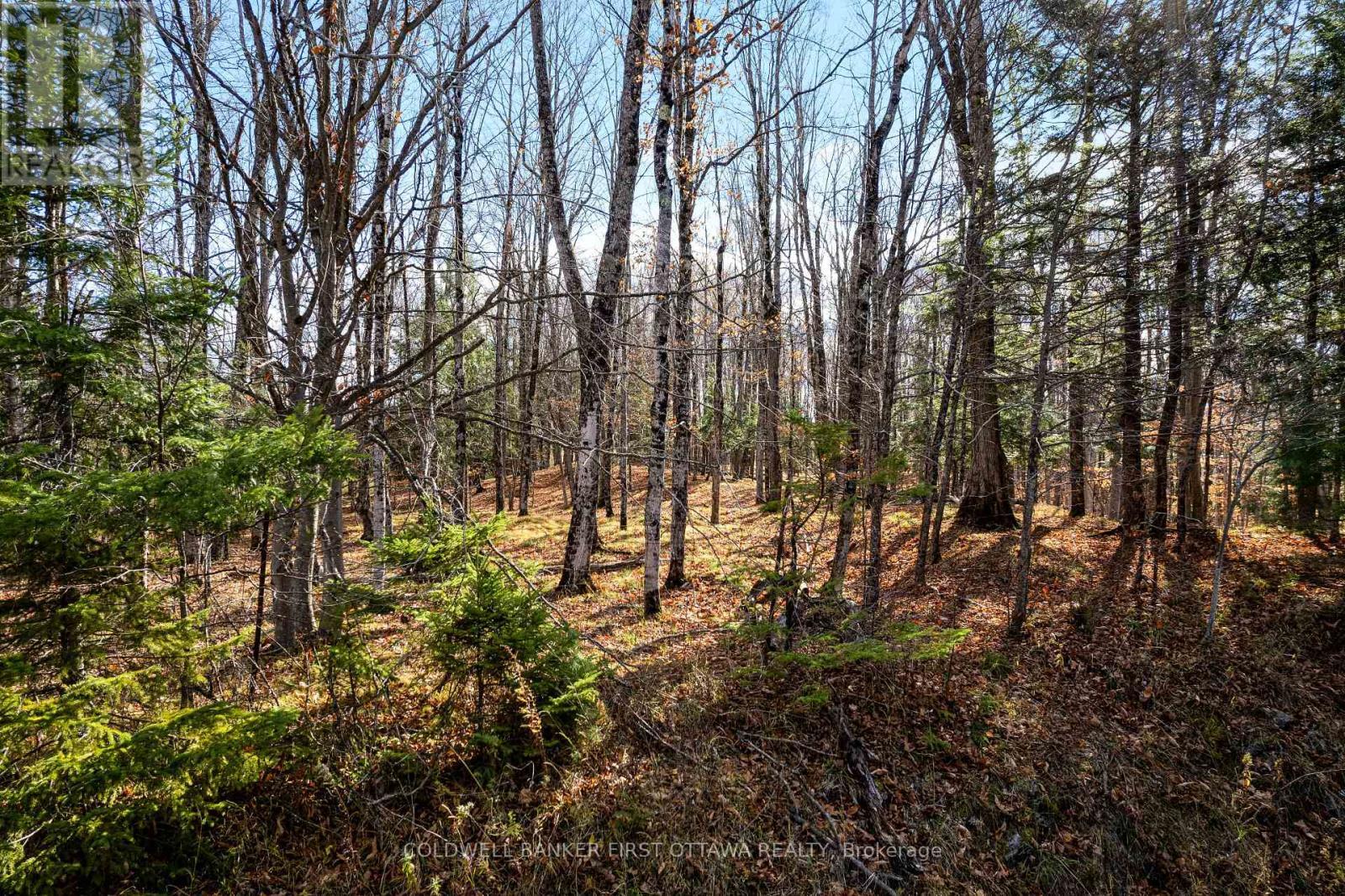 Pt 3-00 Herron Mills Road, Lanark Highlands, ON