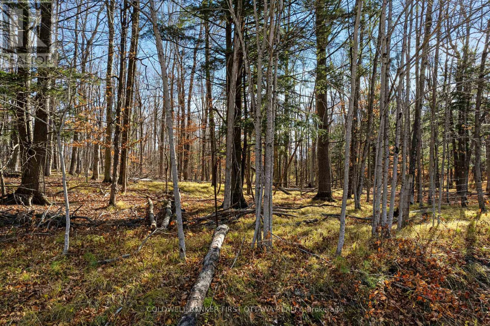 Pt 3-00 Herron Mills Road, Lanark Highlands, ON