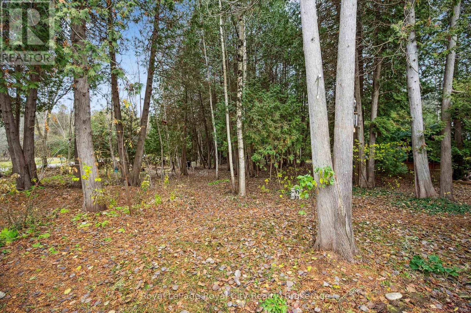 10 Spruce Avenue, Puslinch, ON - Outdoor