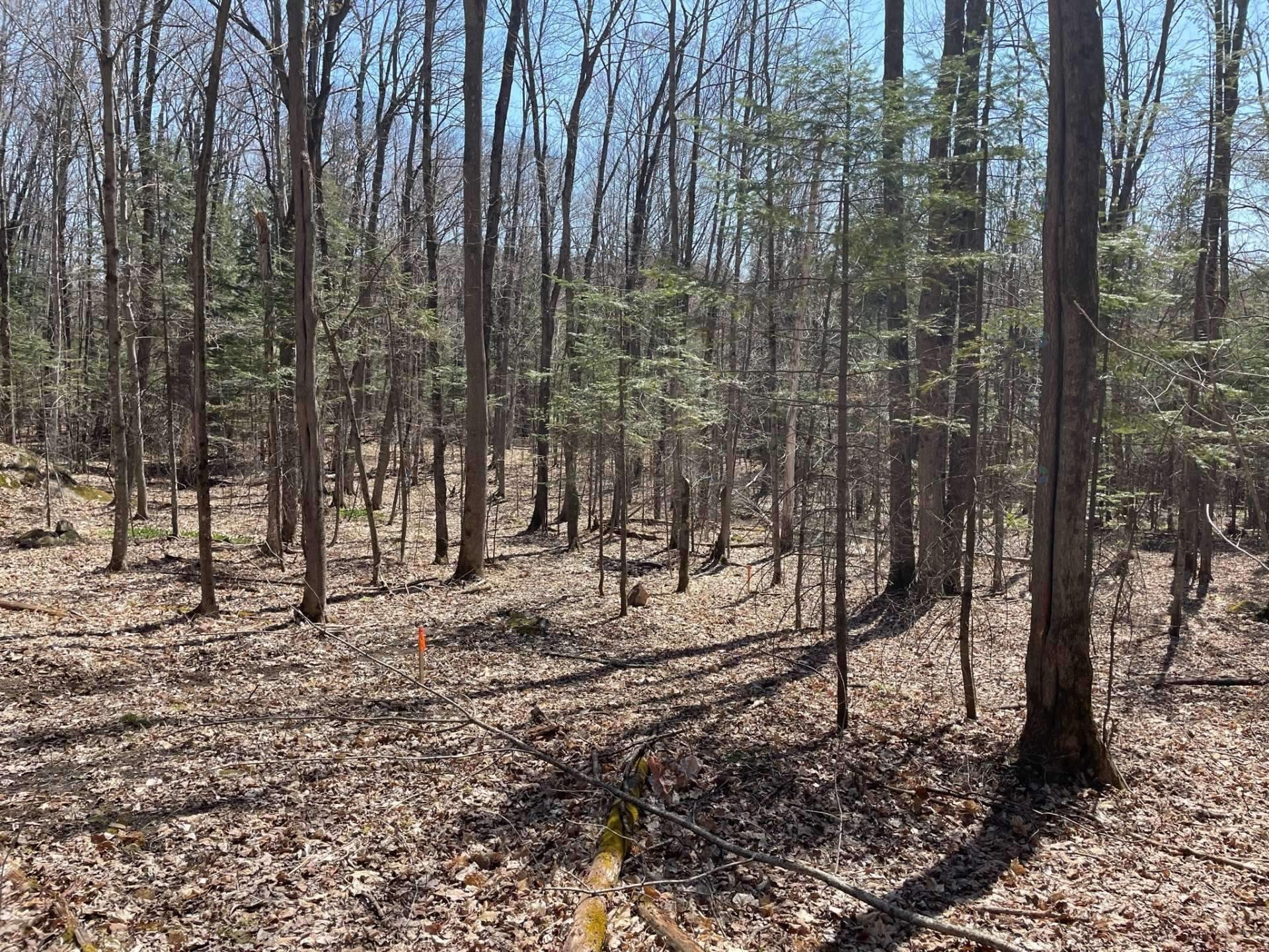 Lot - 124C Ch. Pink, Cantley, QC