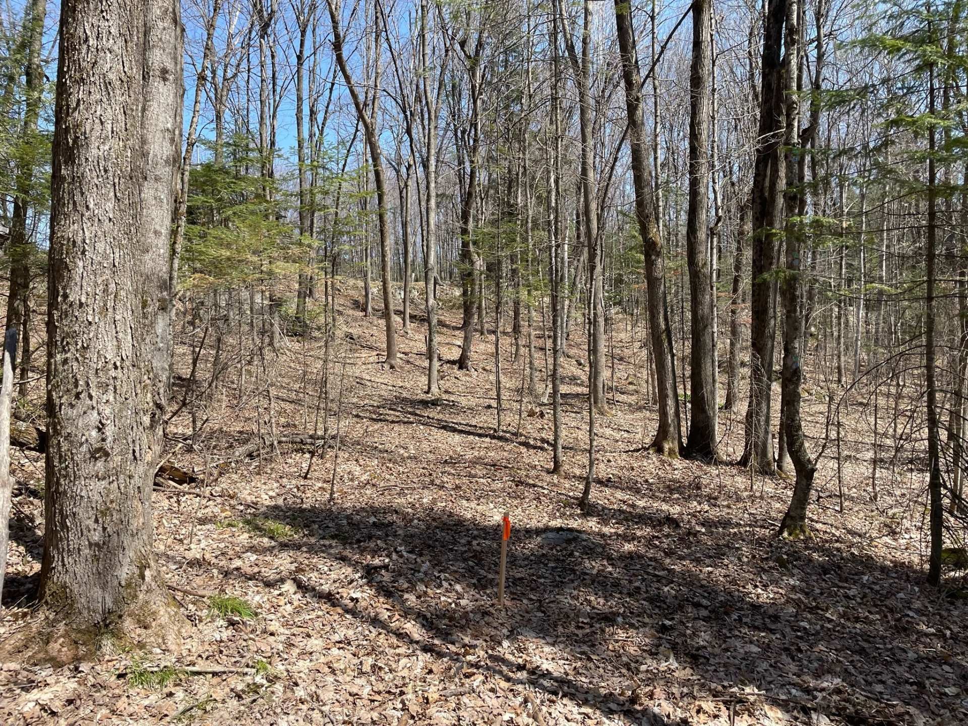 Lot - 124C Ch. Pink, Cantley, QC