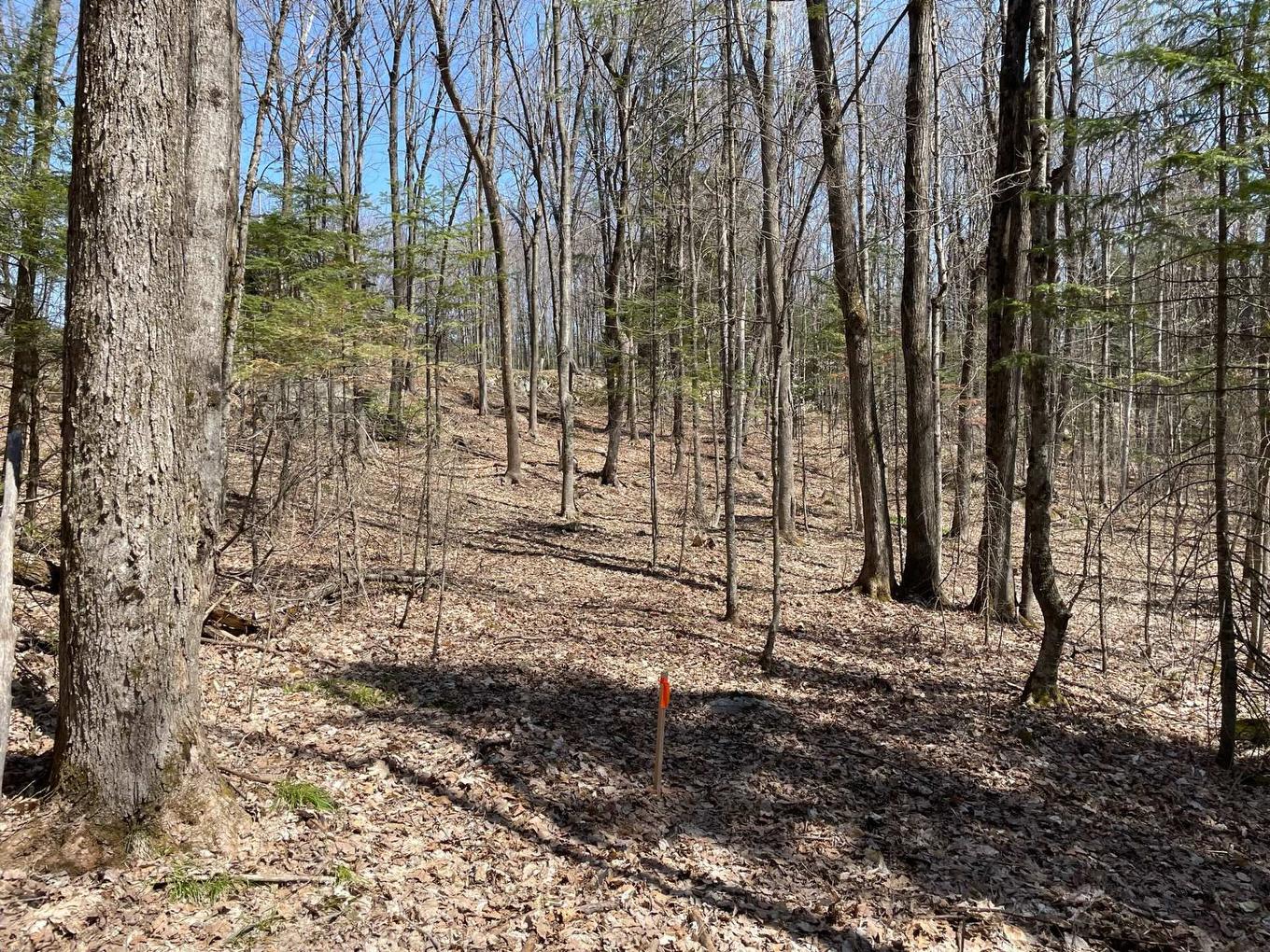 Terre/Terrain - 124C Ch. Pink, Cantley, QC