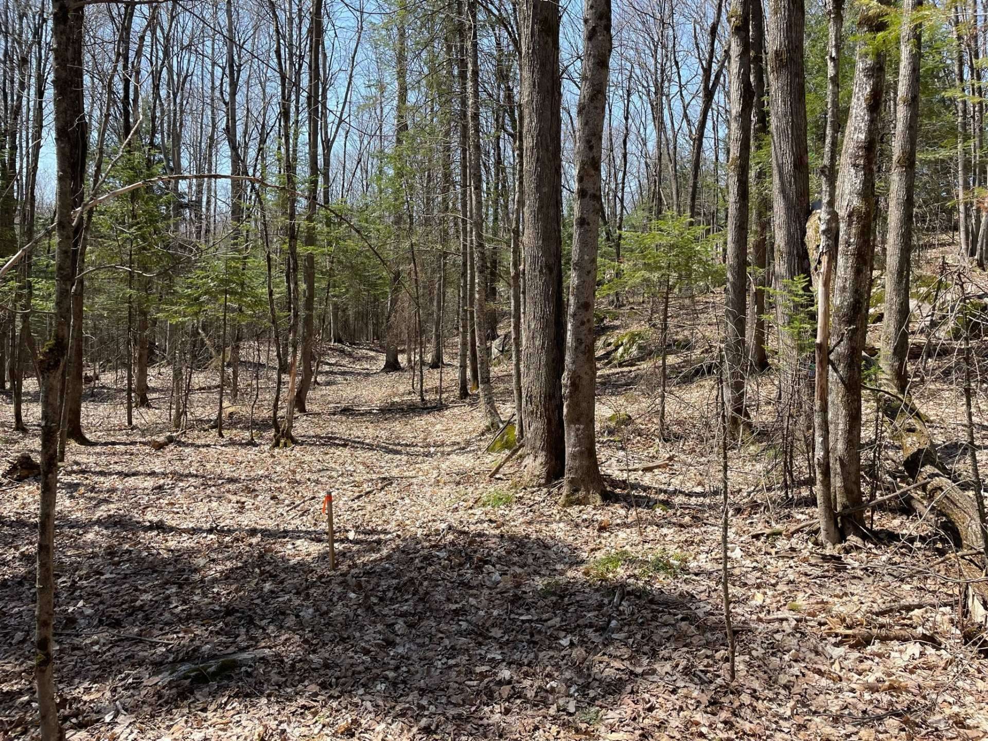 Lot - 124C Ch. Pink, Cantley, QC