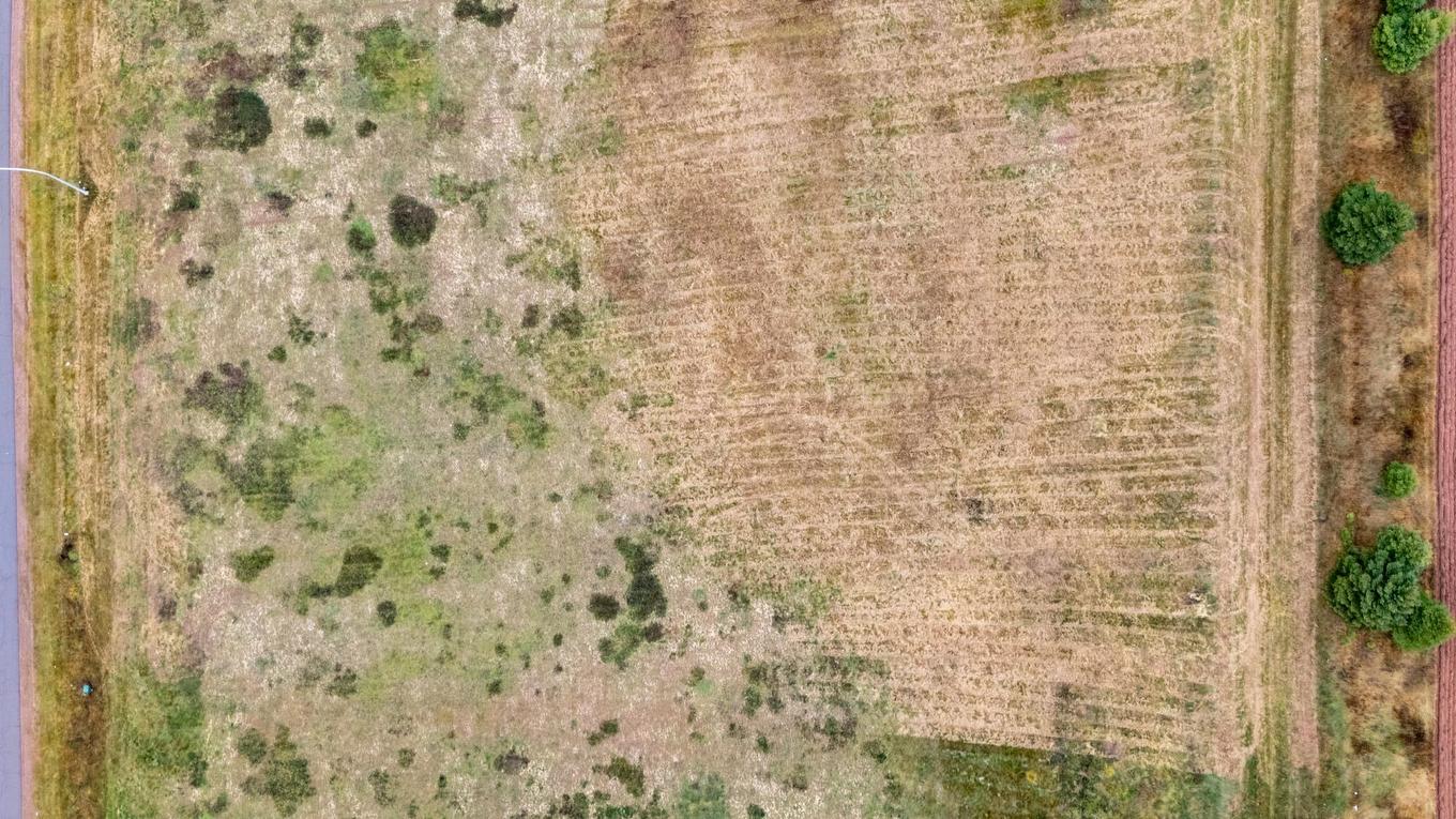 Lot 37 Alexander Drive, Clyde River, PE