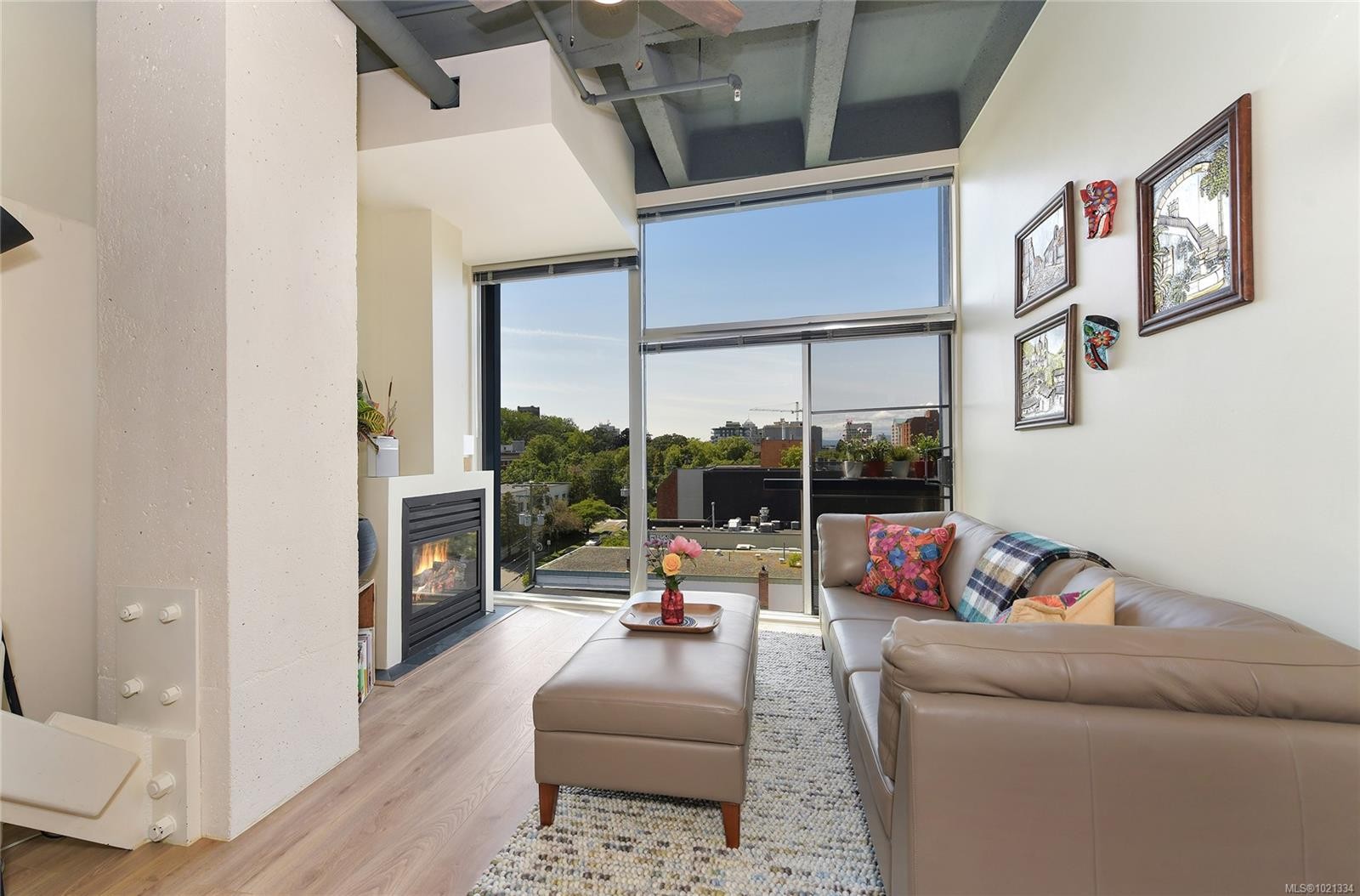 513-1061 Fort St, Victoria, BC - Indoor Photo Showing Living Room With Fireplace