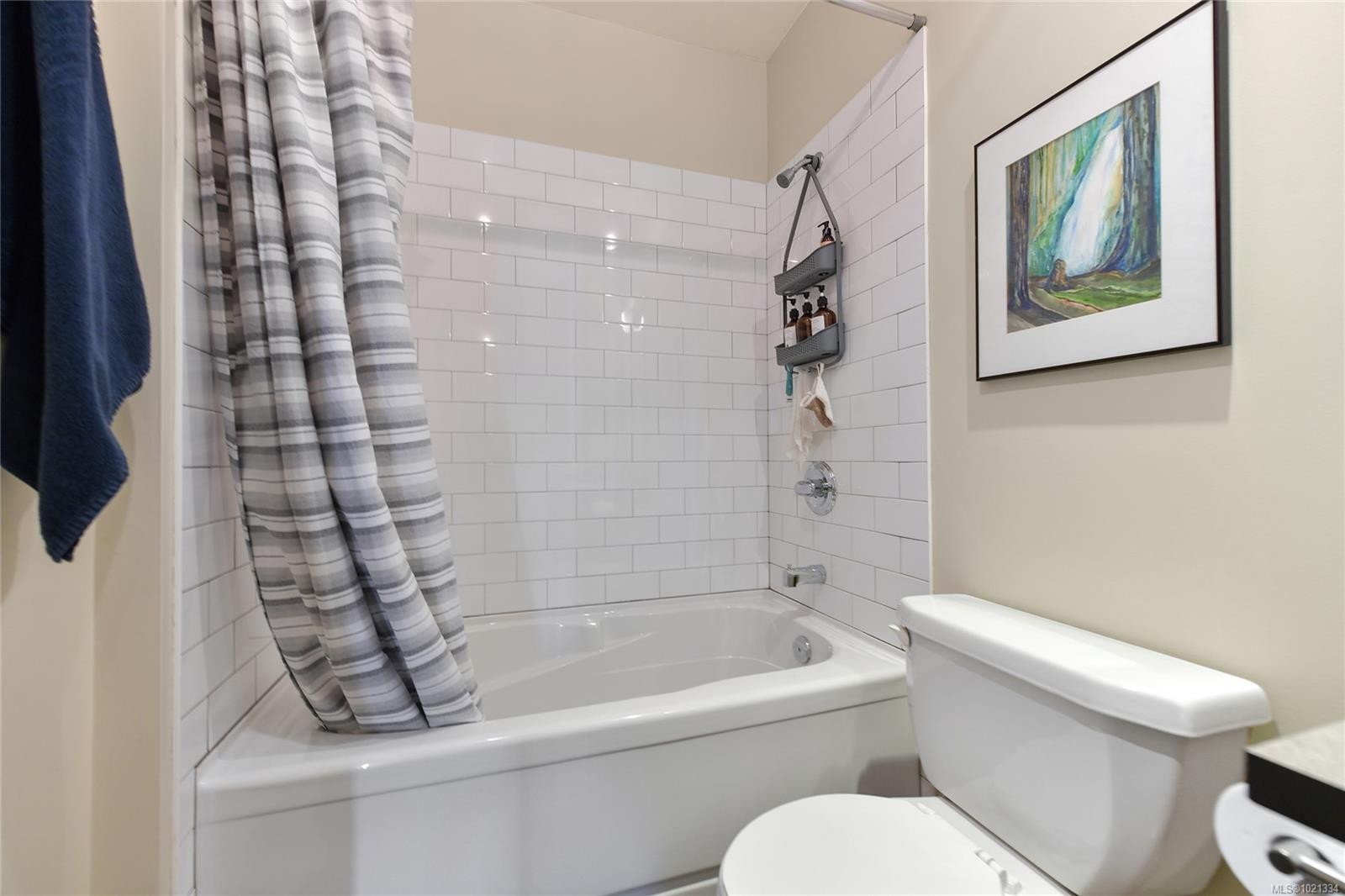 513-1061 Fort St, Victoria, BC - Indoor Photo Showing Bathroom