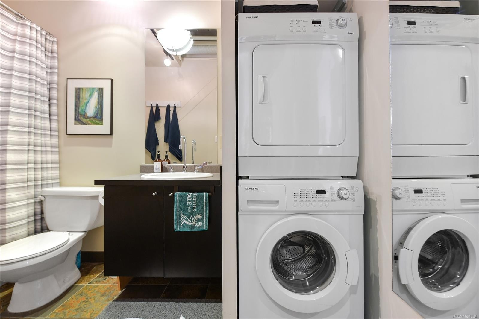 513-1061 Fort St, Victoria, BC - Indoor Photo Showing Laundry Room