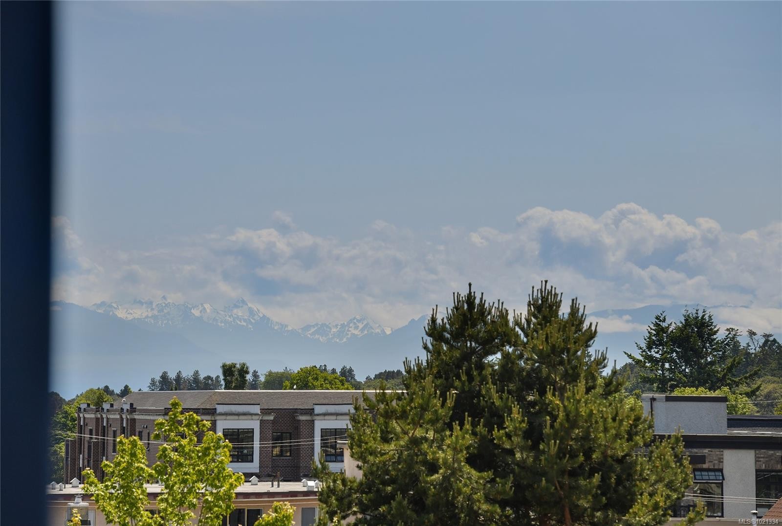 513-1061 Fort St, Victoria, BC - Outdoor With View