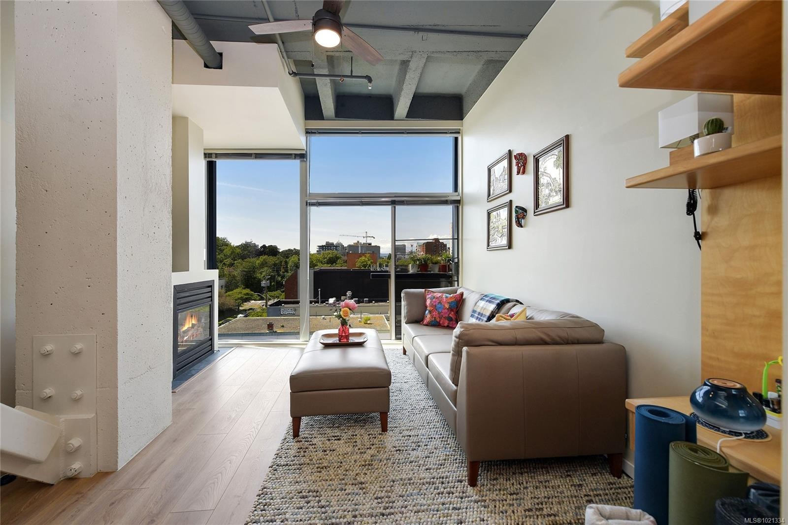 513-1061 Fort St, Victoria, BC - Indoor Photo Showing Other Room With Fireplace